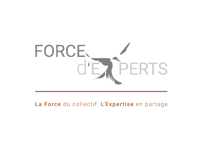 agiris-logo-reseau-partenaire-ec-forcedexperts